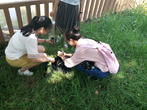 7月10日 澳门博彩
 赴嘉兴“青水”小分队实地考察并采样3