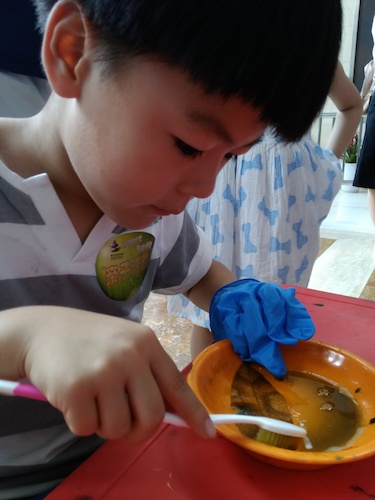 七月十号 澳门博彩
 B.D.服务社赴浙江自然博物馆”环保小课堂“小分队 刷刷刷，看我认真的刷叶子