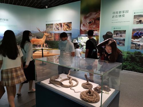 澳门博彩
 赴杭州”保护环境，拯救生命“小分队浙江自然博物馆3